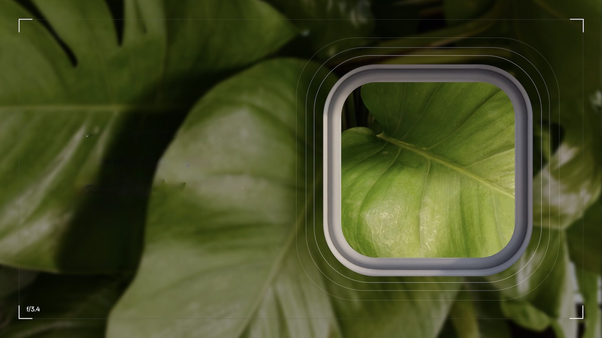 Oneplus dropper Hasselblad-teknologien i kameraet