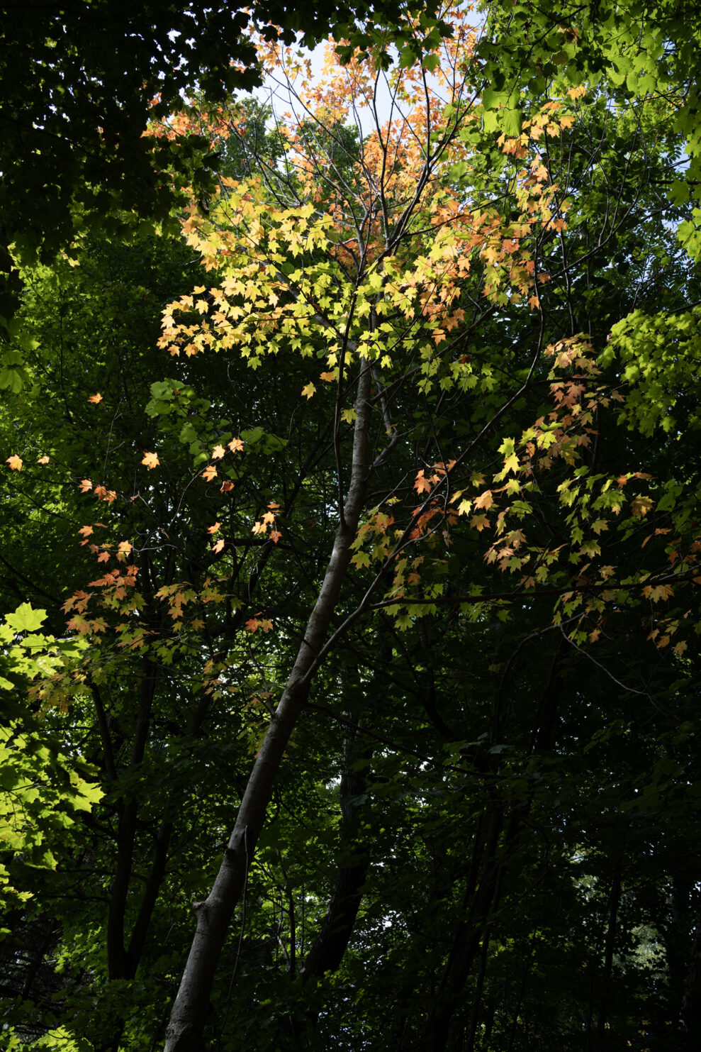 _DSC4128