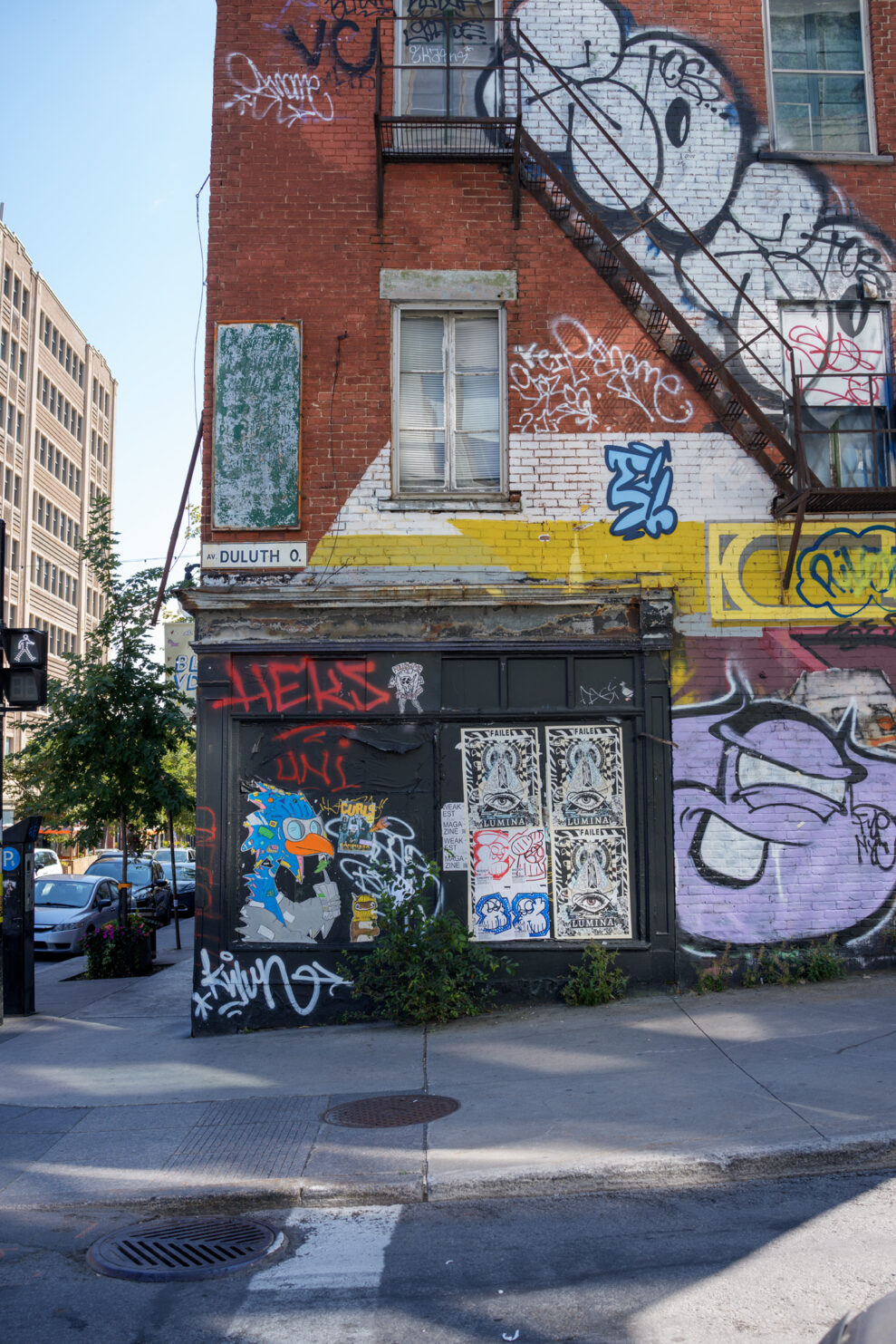 _DSC4153