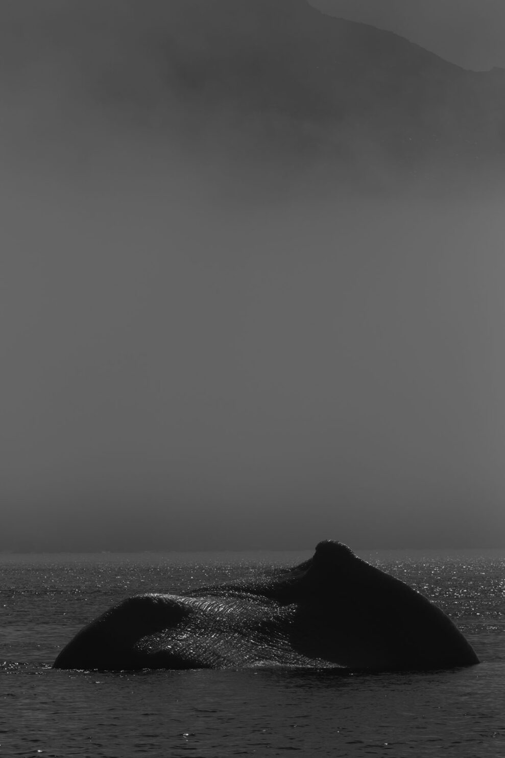 _DSF3414