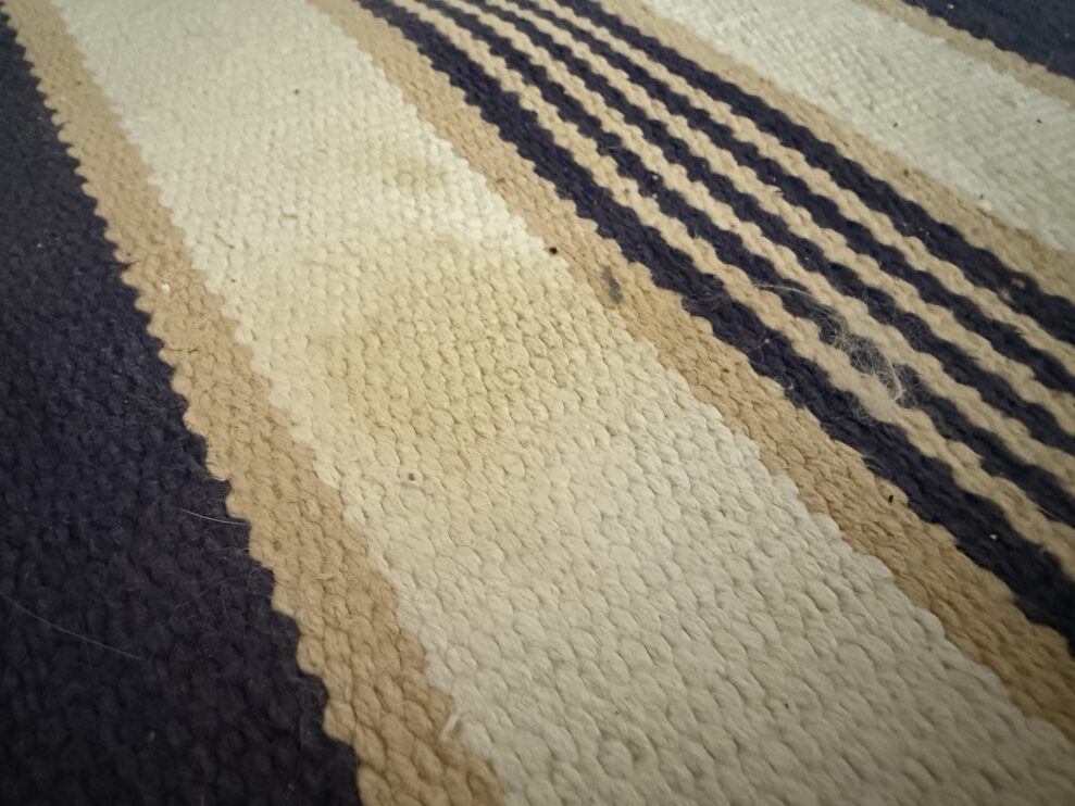 SpotClean-HydroSteam-rug-after-web