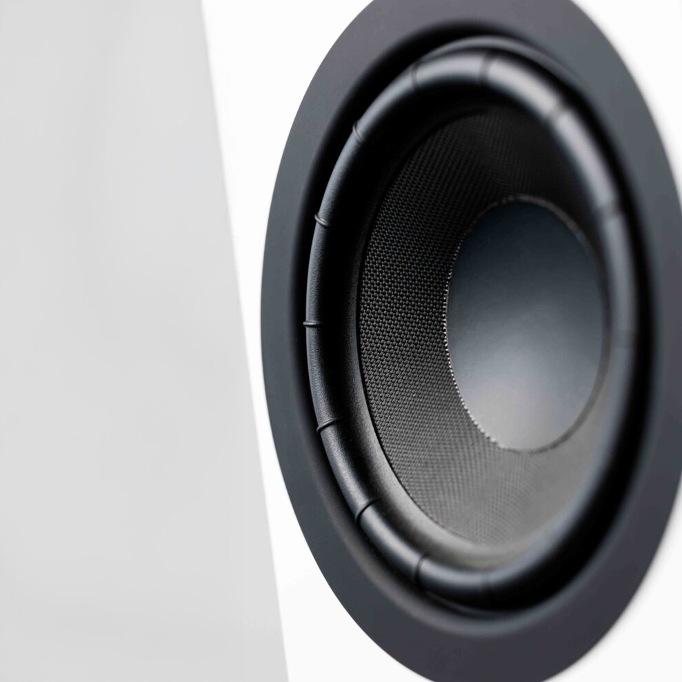 System Audio Legend 5.2 Silverback DS: Digital oppgradering lover bedre lyd 1 system-audio-Legend-5.2-Silverback-DS-bass-unit.jpg