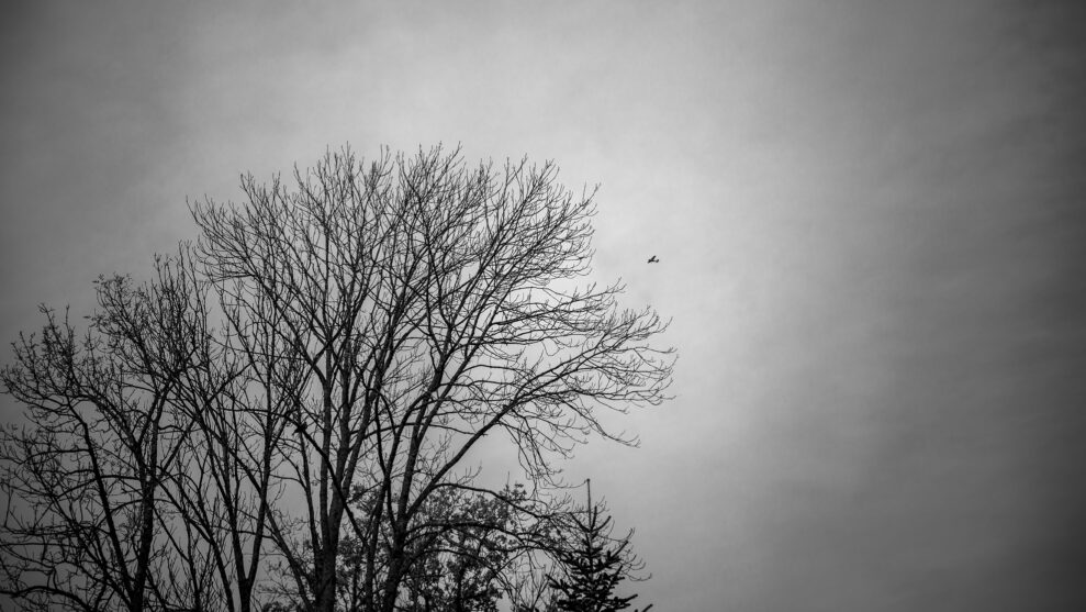 _DSC3669