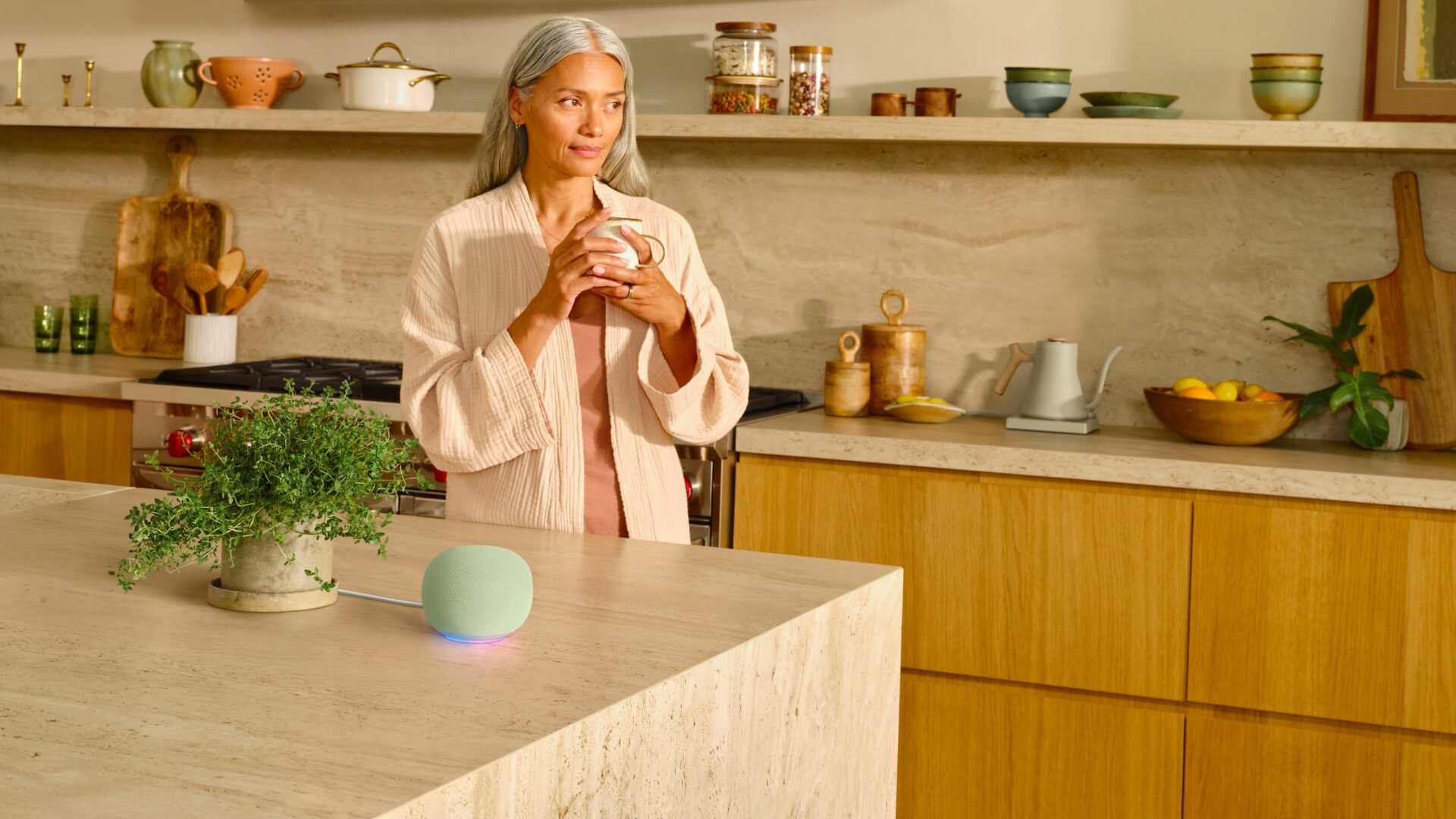 Adjø Google Assistant, hallo Gemini for Home