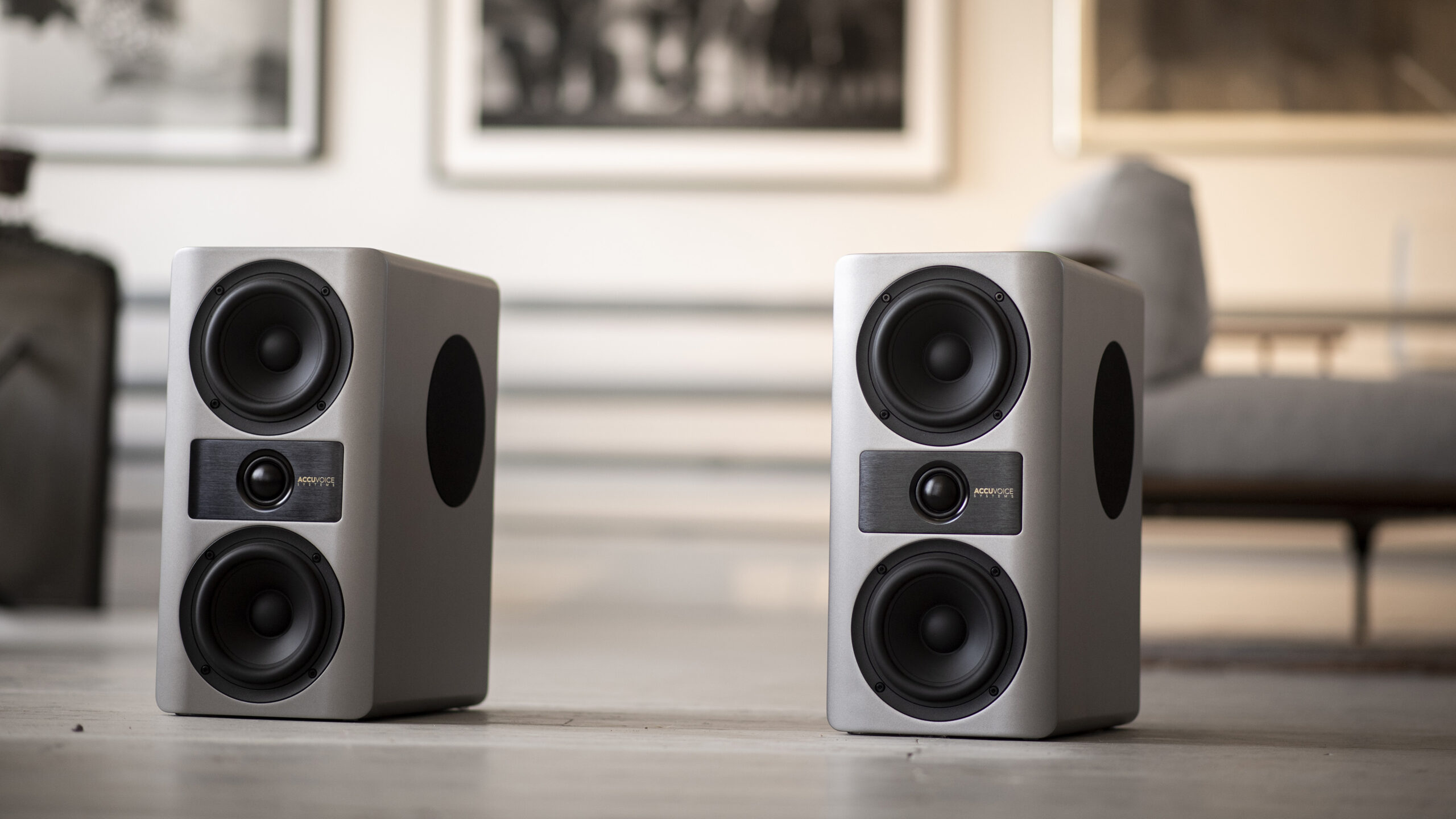 Accuvoice Stream S3_AluminiumGrey_Pair