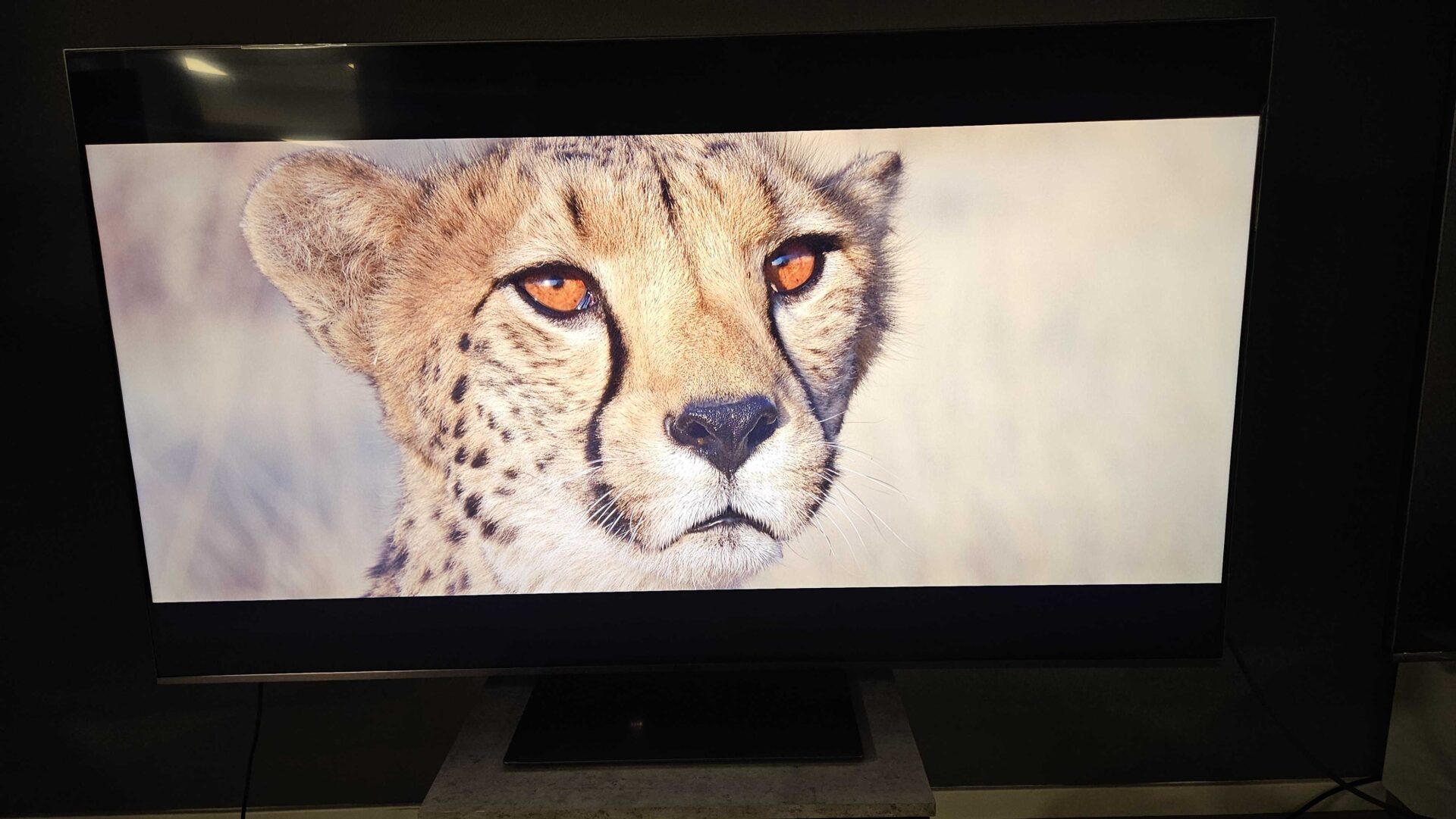 Cepter ZM1000SB (CR65ZM1000SB) 4