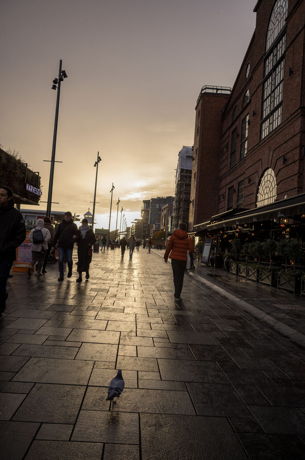 Leica M EV1_sample_3 Leica M EV1_sample_3