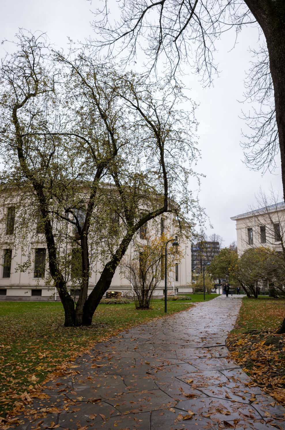 Leica M EV1_sample_5 Leica M EV1_sample_5