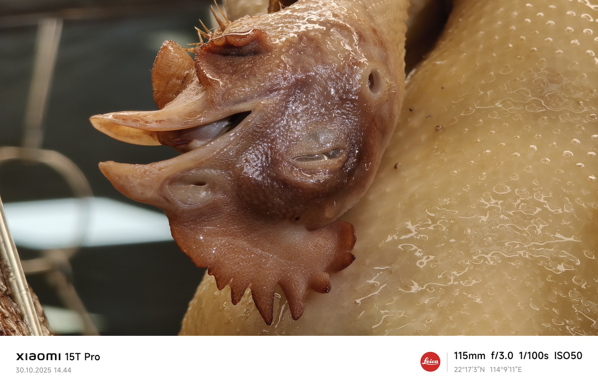 Xiaomi 15T Pro 8 Xiaomi 15T Pro 4