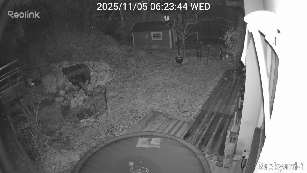 Reolink_TrackFlexFloodlightWiFi_natt-scaled Reolink_TrackFlexFloodlightWiFi_natt-scaled