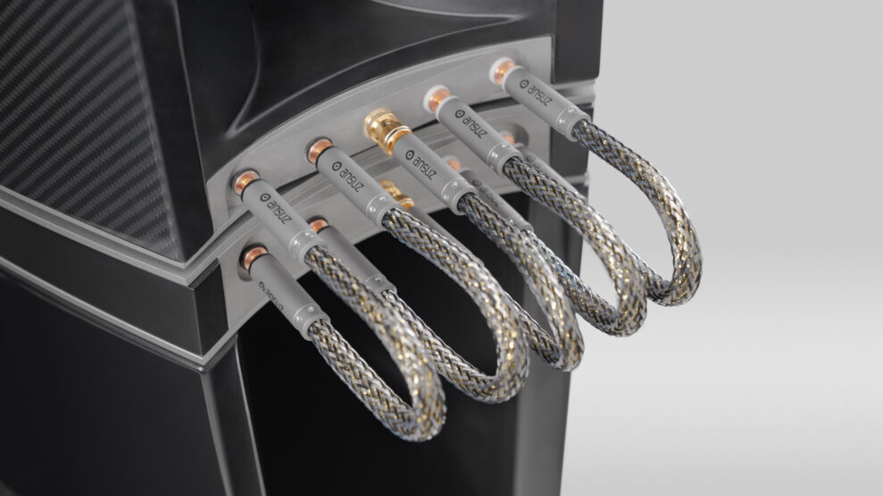 BOERRESEN_M8_RearSkewed_BassMid_CablesConnections_MedClose_DESKTOP-min BOERRESEN_M8_RearSkewed_BassMid_CablesConnections_MedClose_DESKTOP-min
