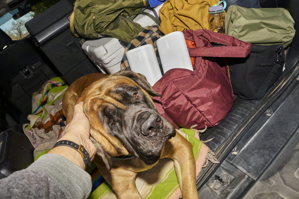 Sonos Play - Car Packing