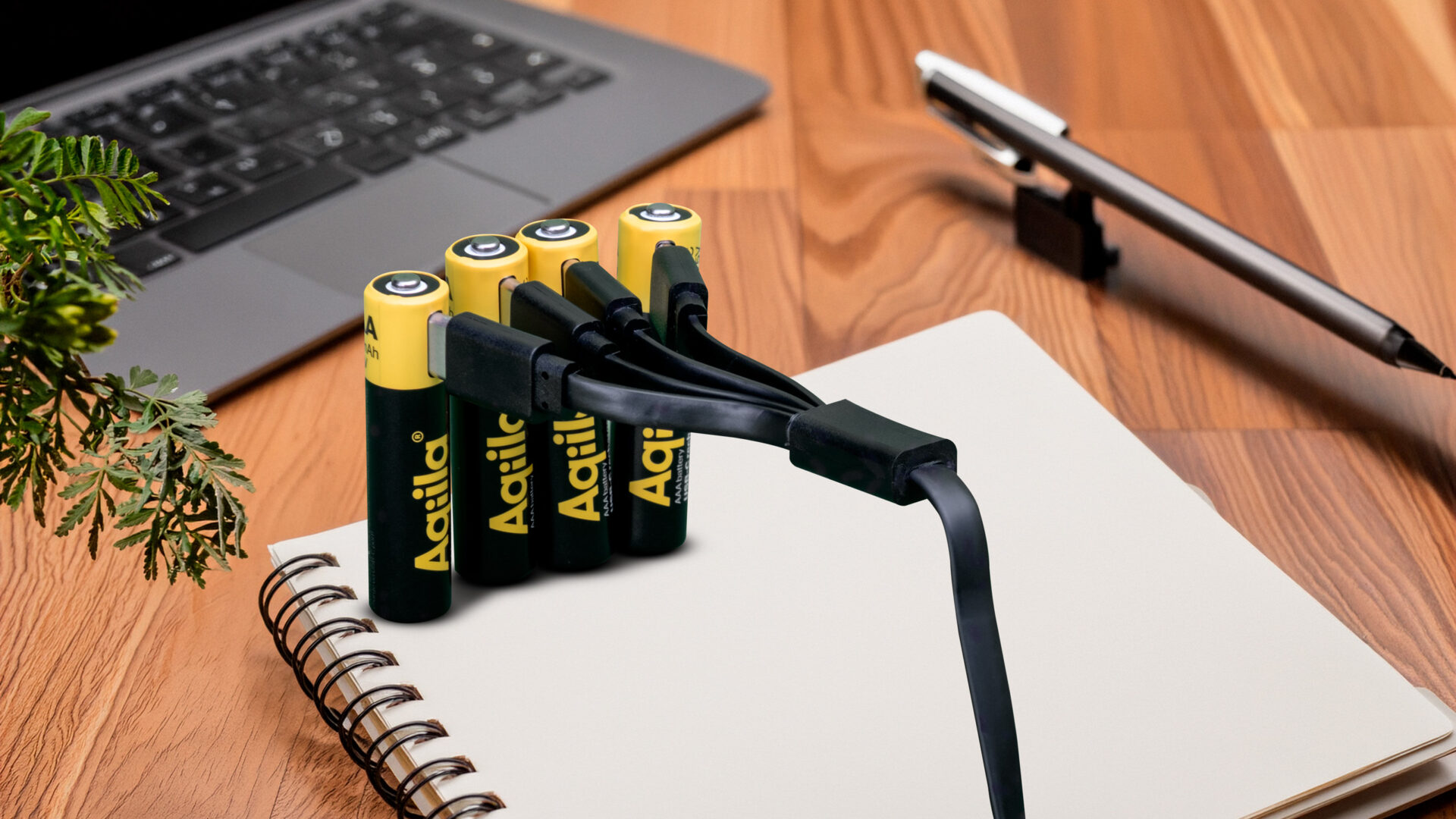 Aqiila Rechargeable Batteries 2