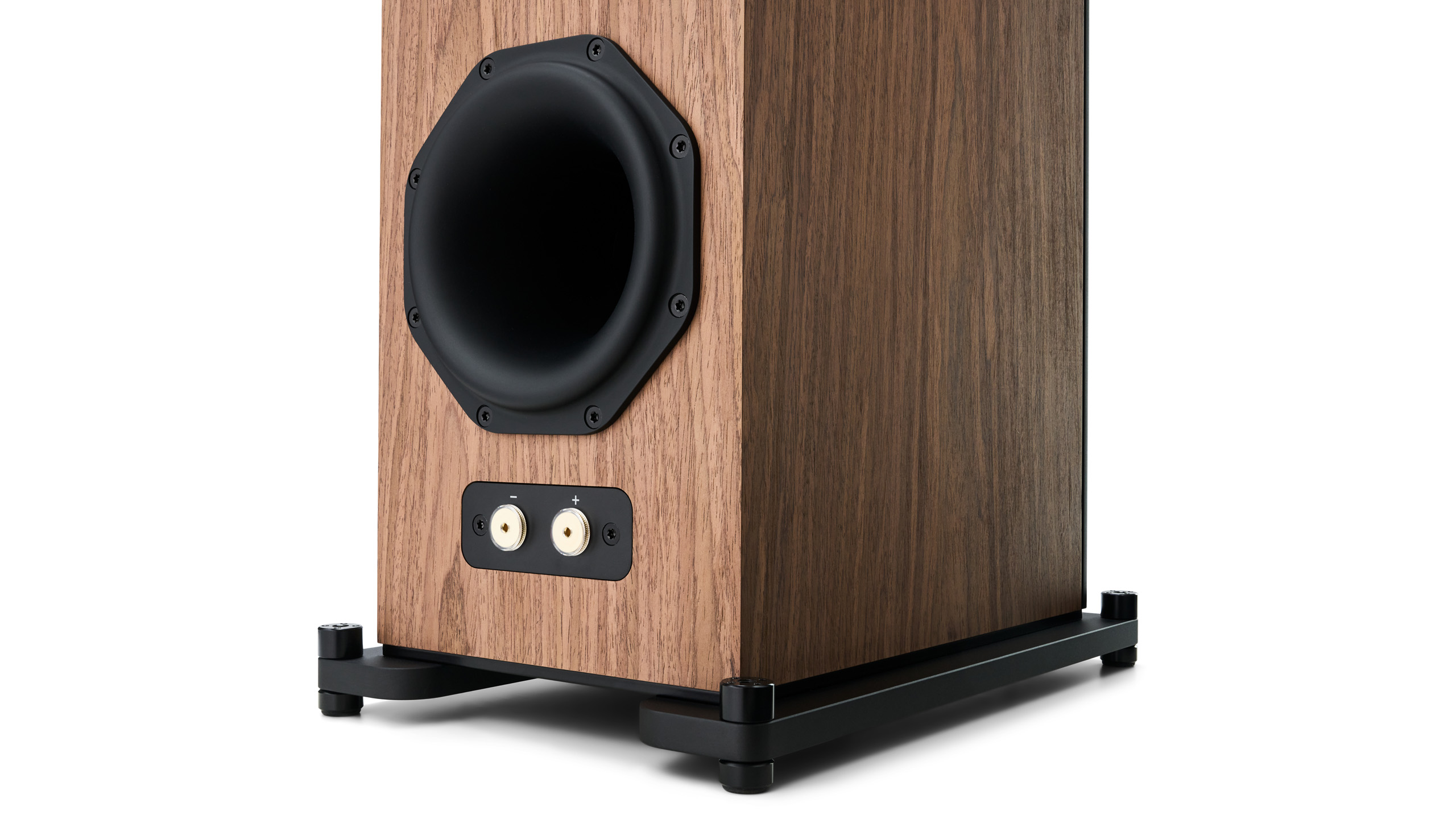 Radiant Acoustics Clarity 66