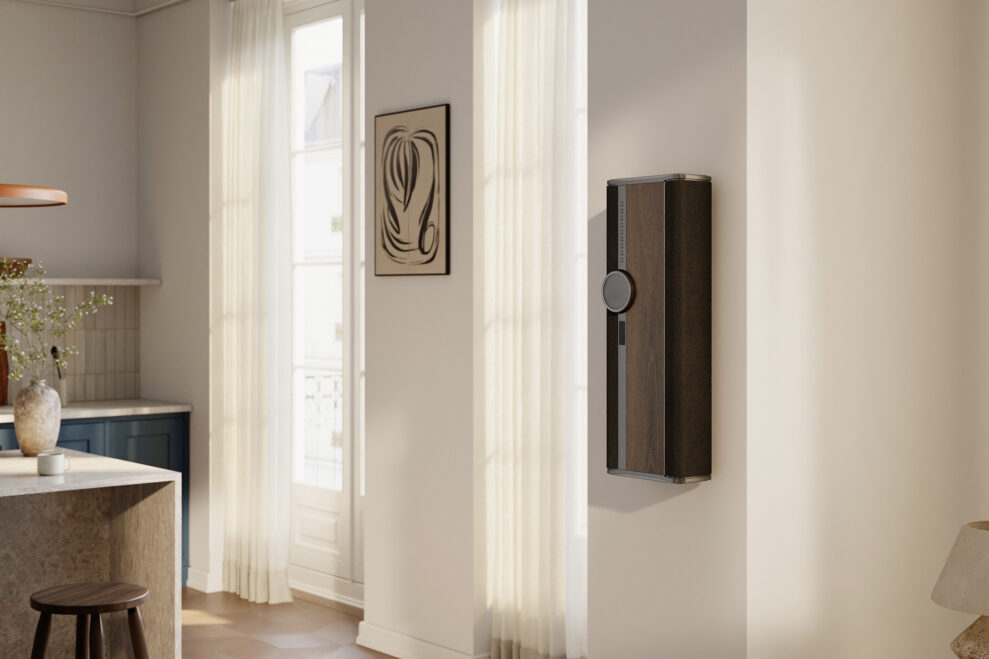DALI-VEGA-Lifestyle-Scene-3-Dark-Oak-3 DALI-VEGA-Lifestyle-Scene-3-Dark-Oak-3