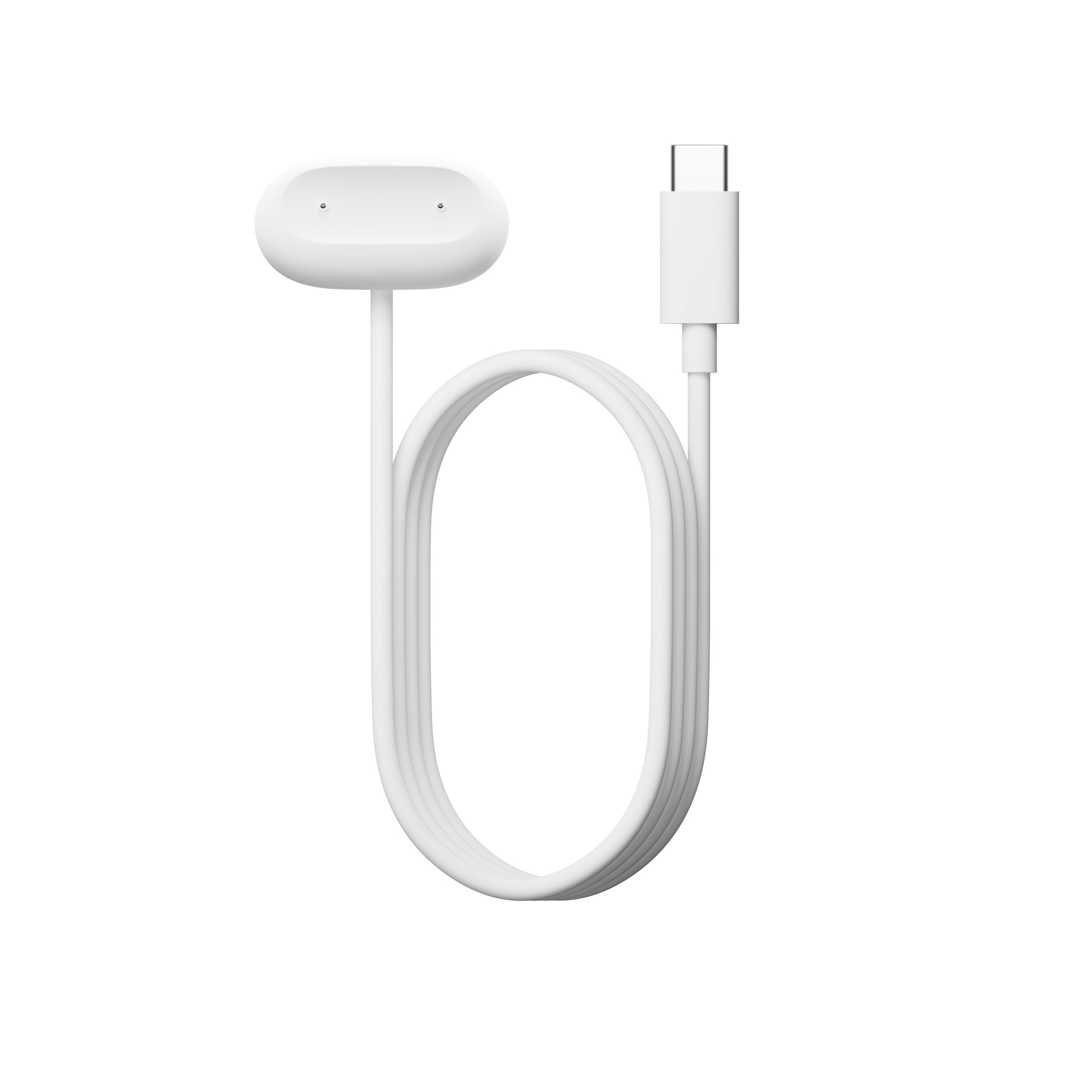 Google Fitbit Air 11 Google Fitbit Air