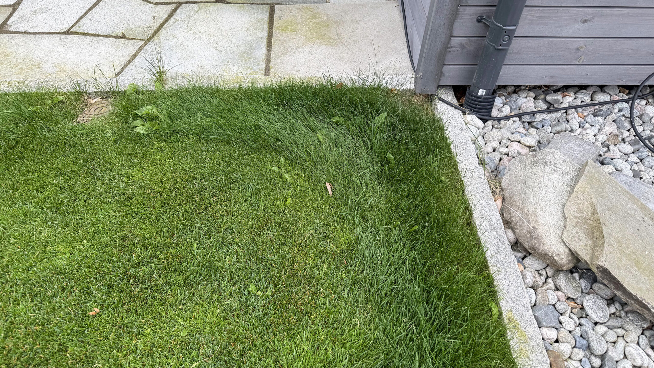 Roborock RockMow Z120 LiDAR 4 Plenkant mot stein og trevegg der en smal stripe uklippet gress står igjen etter klipping uten PreciEdge-modulen.