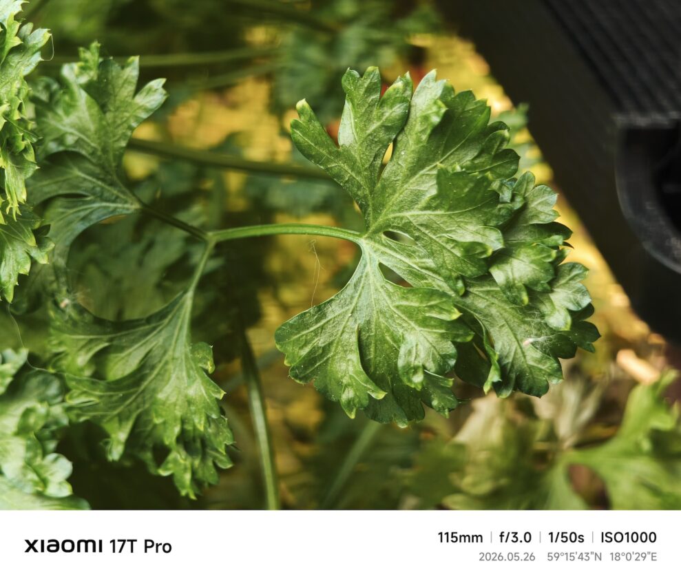 Xiaomi-17T-Pro-makro-web