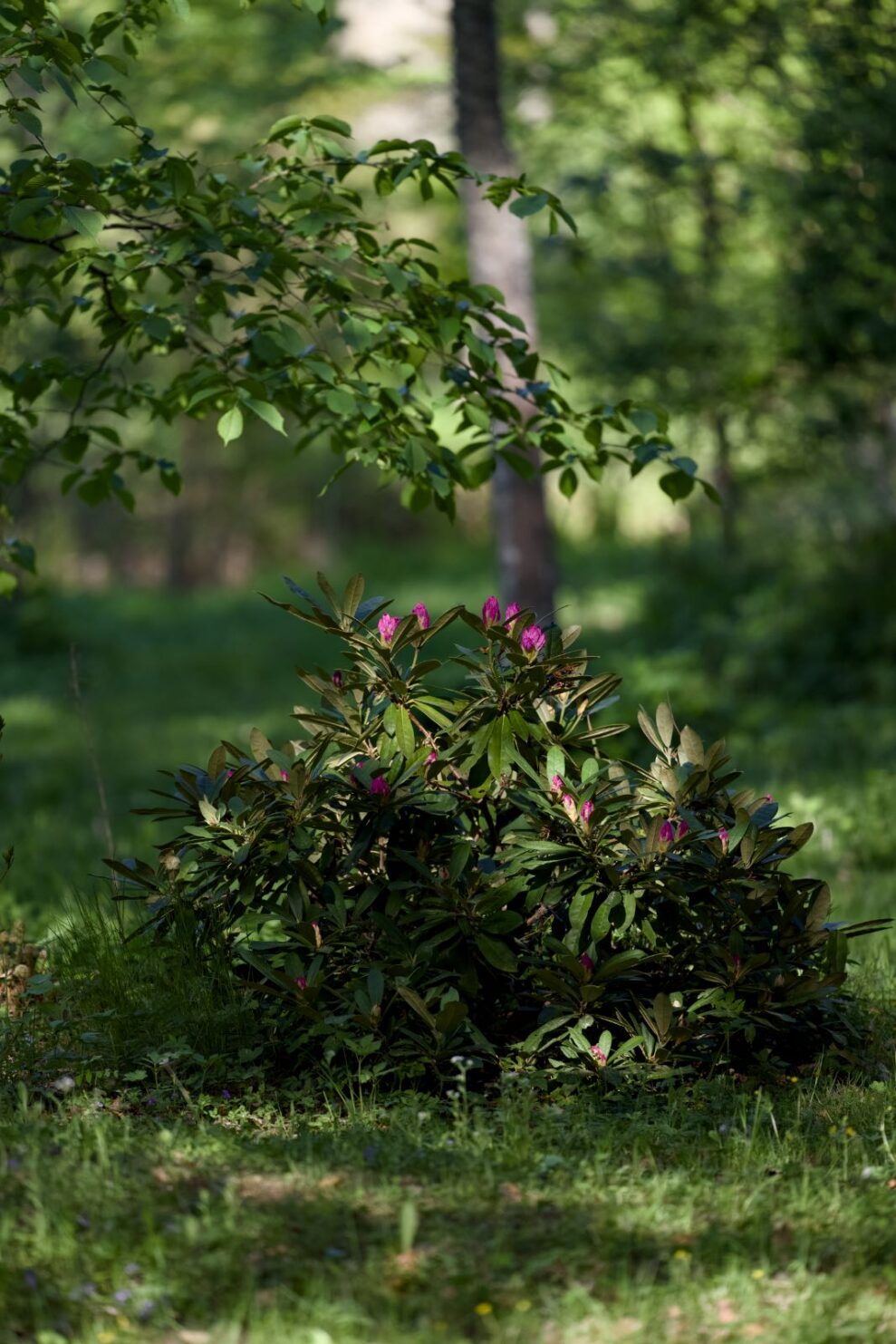 Sony a7r vi_sample_10 Sony a7r vi_sample_10