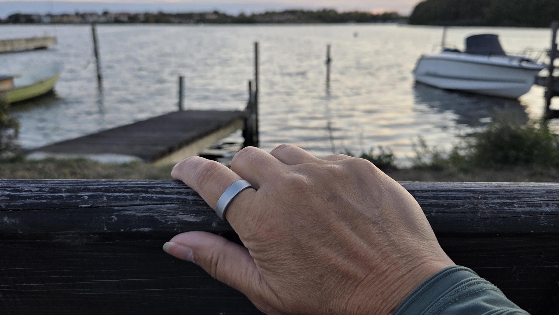 Oura Ring 5 (Brushed Silver)